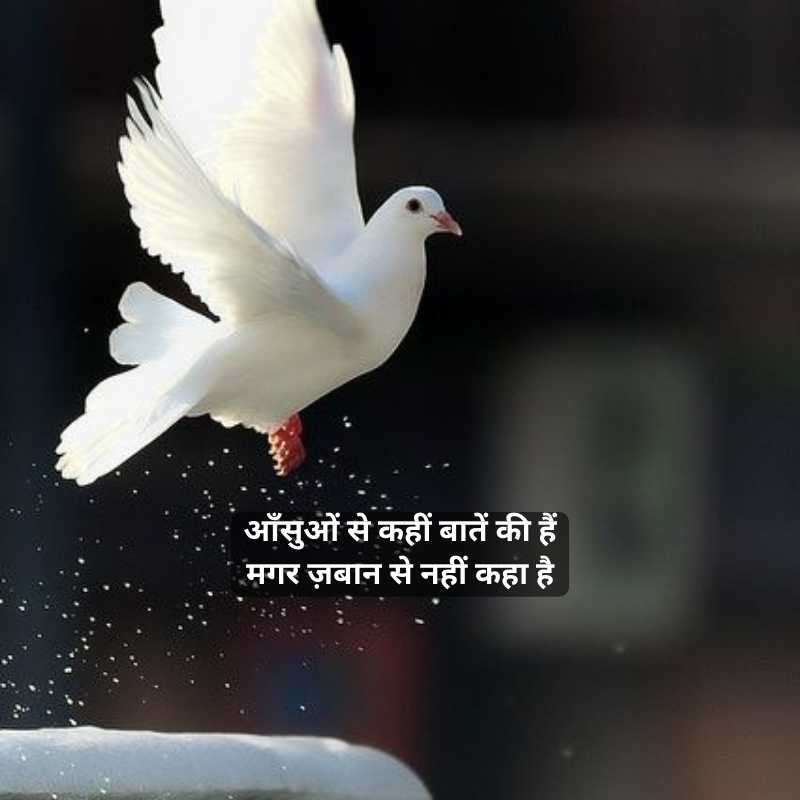 wo baat nahi karte shayari15